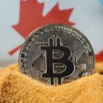 Overview of the Bank of Canada’s Bitcoin Ownership Survey Result 2021