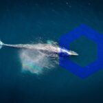 Chainlink Whales Are Accumulating, but What Does That Mean for the Price?