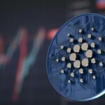Stakers Are Confident That Cardano [ADA] Will Outperform in a Bear Market