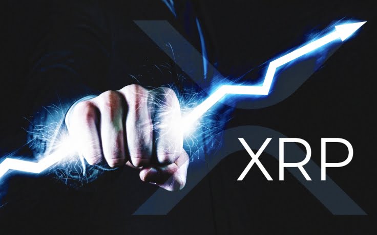 XRP Wallet Addresses Surpass 4.35 Million Amidst Whale Activity