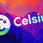 Celsius Shared Description of Terminology on Twitter Avoiding Hard Questions