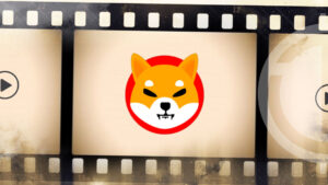 <strong>SHIB – The Metaverse: Community Video Submissions</strong>