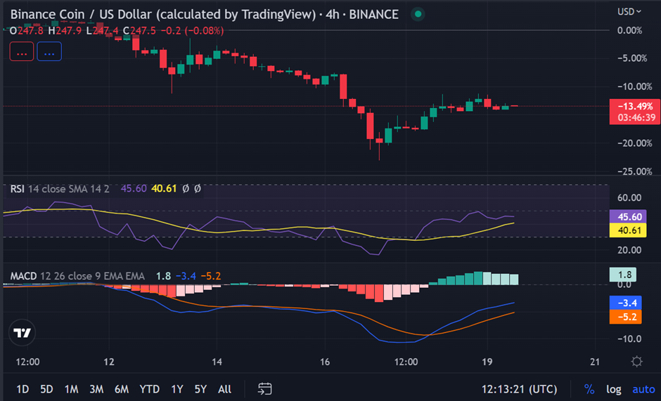 BNB daily chart