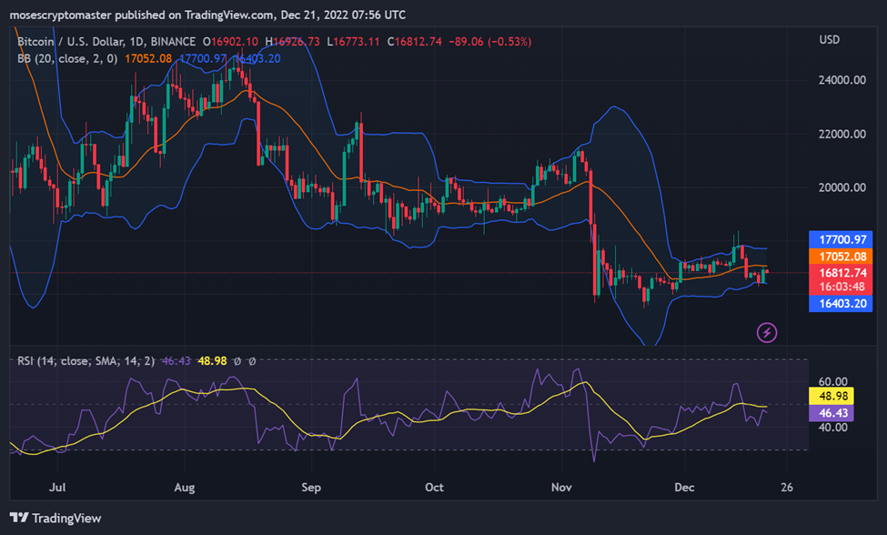 10,000+ Coins Ecosystem Are Compared and Measured Against BTC as Reference Currency