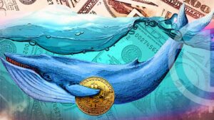 Bitcoin Whales Accumulates More BTC, Foreshadowing a Potential Breakout