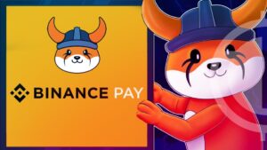Floki Inu Has Entered a Strategic Partnership With Binance Pay to Sell its Merch