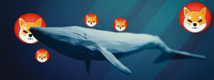 SHIB Token Flips Numeraire (NMR) for Most Traded Top 100 ETH Whales