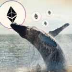 Top 10 Smart Contracts Used by the Top 5000 Biggest Ethereum Whales