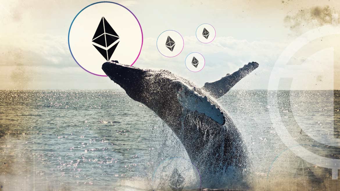Top 10 Smart Contracts Used by the Top 5000 Biggest Ethereum Whales