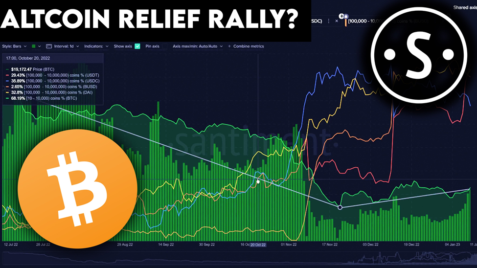 What do Santiment and Coin Market Cap Analysts Suggest About the Recent Altcoins Relief Rally?