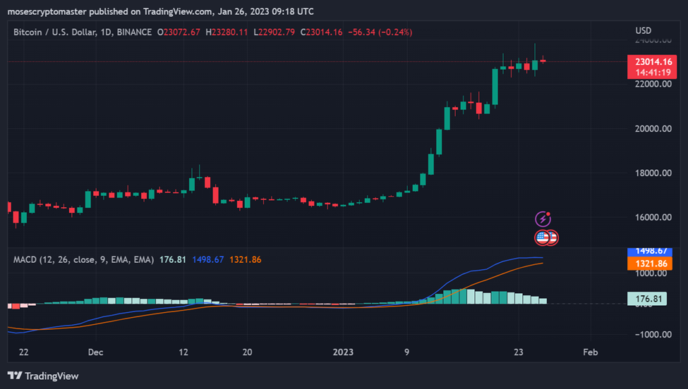 Is Bitcoin’s Meteoric Rise Before the Next Halving Sustainable?