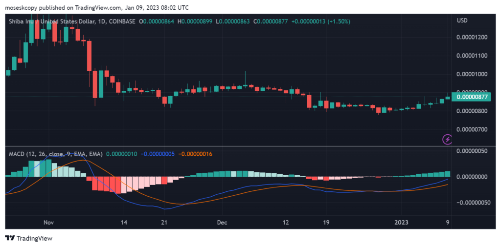 Shiba Inu Price Bumping Up Against an Obstacle at $0.00001000; What Lies Ahead?