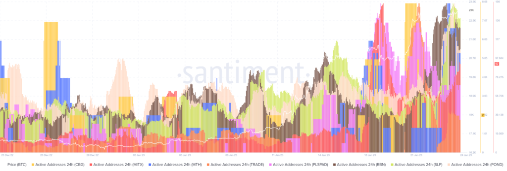 As of late, address activity for small-cap altcoins has experienced a surge in popularity