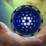 Cardano's Whale Activity Rises as Network Whale Transactions Peak Since the FTX Collapse