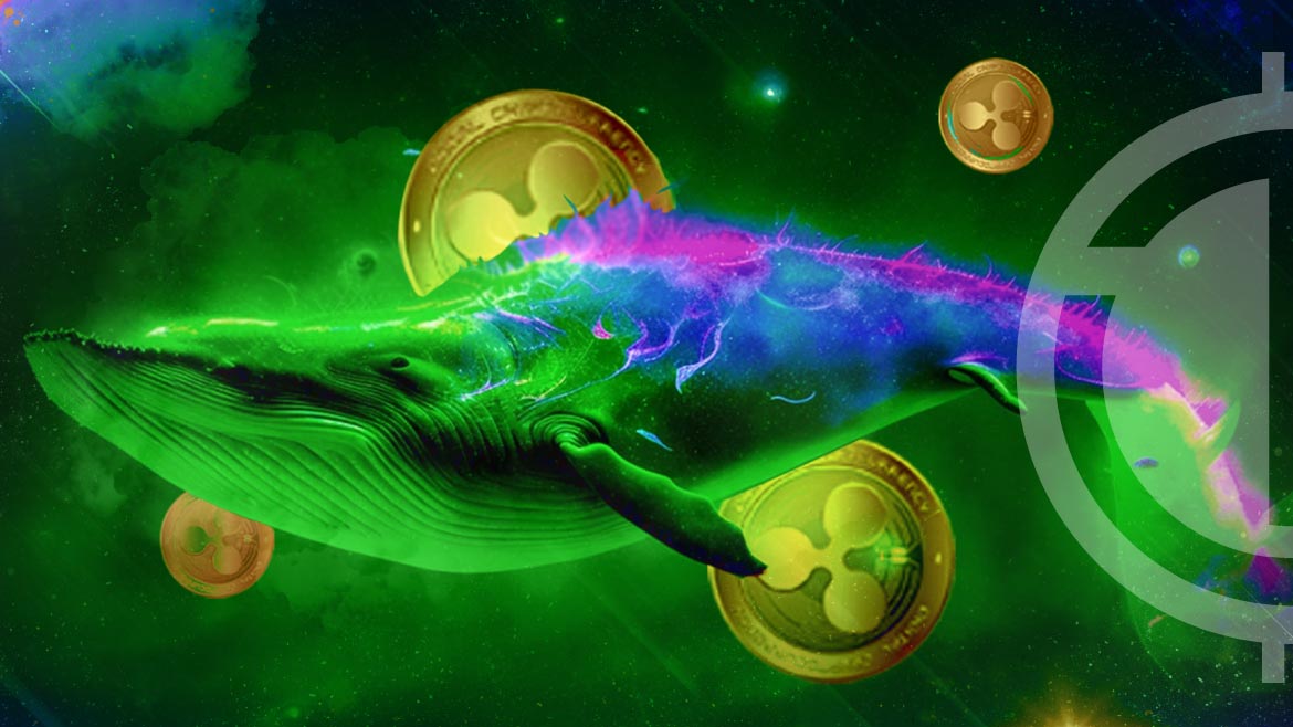 XRP Makes a Splash: Joins Top 10 Cryptos Among Big BSC Whales Again