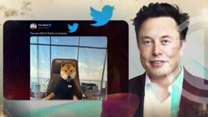Elon Musk Tweet Spurrs Rally In Shiba Inu-based Meme Coins; What You Should Do?