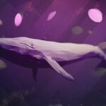 Whales Activity Points Out Four Assets To Bring Your Attention; Know here