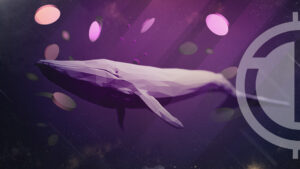 Whales Activity Points Out Four Assets To Bring Your Attention; Know here