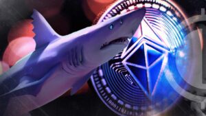 Ethereum Sharks Accumulate as Whales Decline: Large Address Trends Show Major Shifts in ETH Holdings