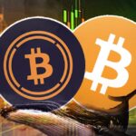 Whale Transactions Drive Bitcoin and WrappedBitcoin to Record Highs in 2023