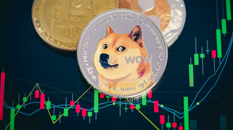 Dogecoin Whale Moves 34 Million DOGE to Binance Amidst Massive Withdrawals