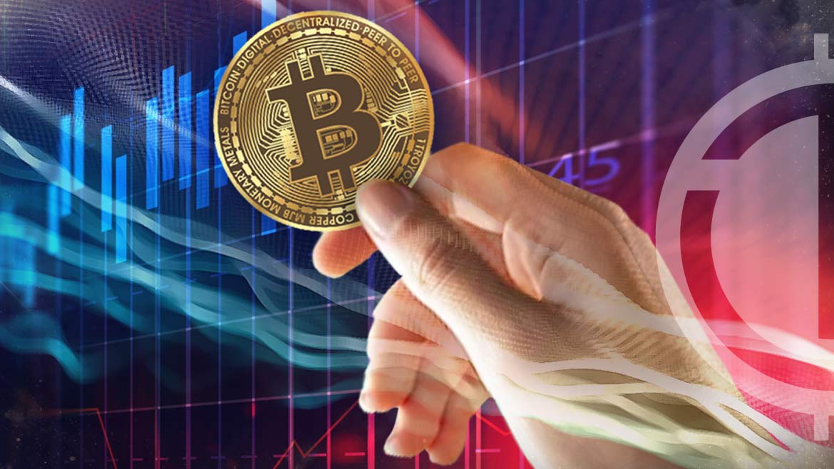 Bitcoin HODLers on the Rise Again as Traders Embrace Long-Term Holding Strategy
