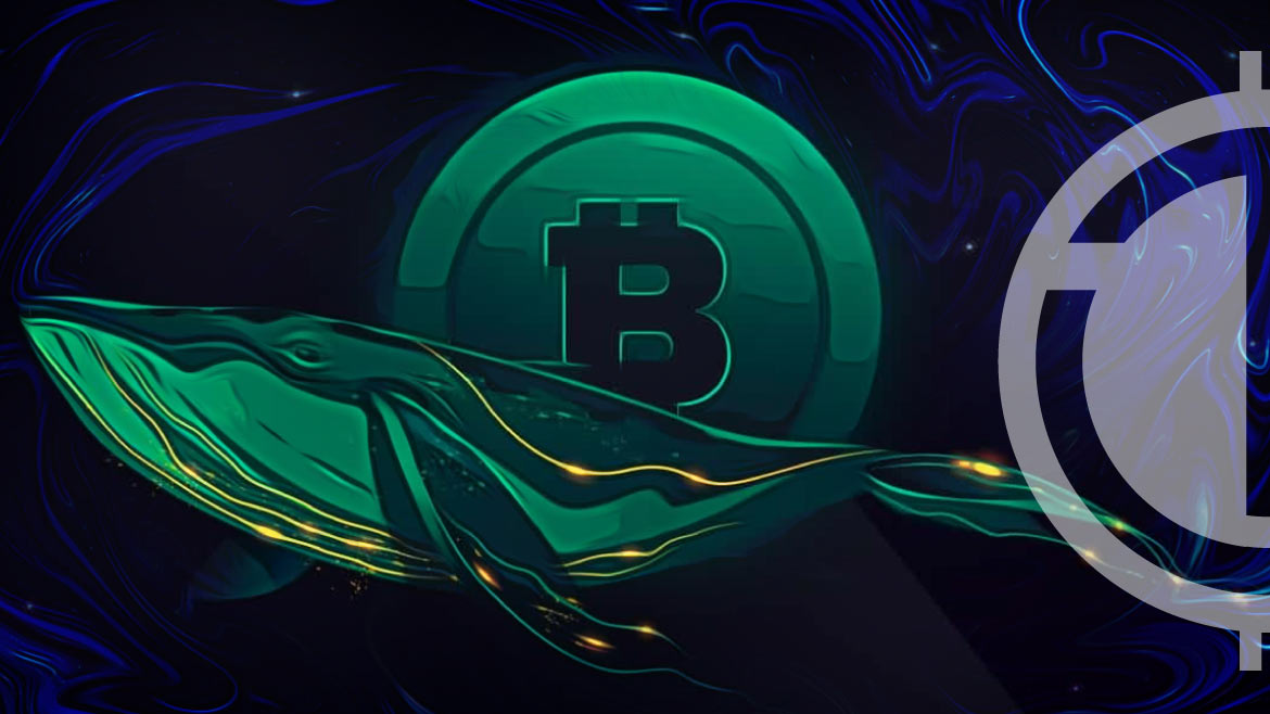 Whale Receives $710M in Record-Breaking Bitcoin Transfer