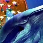 Cardano Whales Scoop Up $218.4 Million Worth of ADA Tokens in Two Weeks