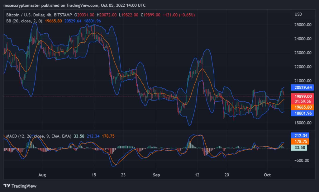 BTC/USD Price Surge After the Lightning Network Makes Significant Progress