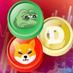 The Rise and Fall of PEPE: Lessons on the Volatility of Meme-Inspired Coins