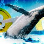 Whales Surge in Enthusiasm for Bitcoin as Dozens of High-Value Addresses Emerge