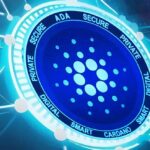Cardano's DeFi Network Booms with Meme Coins and Record Transactions
