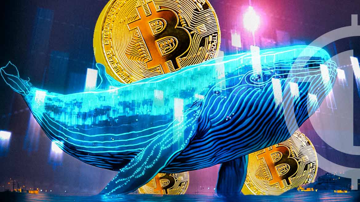 Bitcoin Dips as Whale Deposits Millions on Binance: Bearish Trend Ahead?