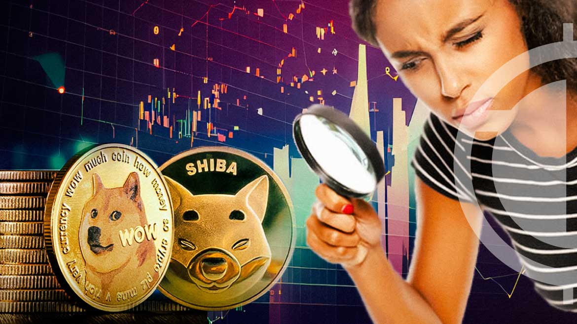 Dogecoin and Shiba Inu Whales Trigger Cryptocurrency Market Speculation
