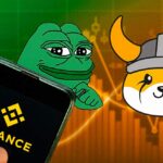 Binance Adds FLOKI and PEPE to Innovation Zone, Caters to Memecoin Craze