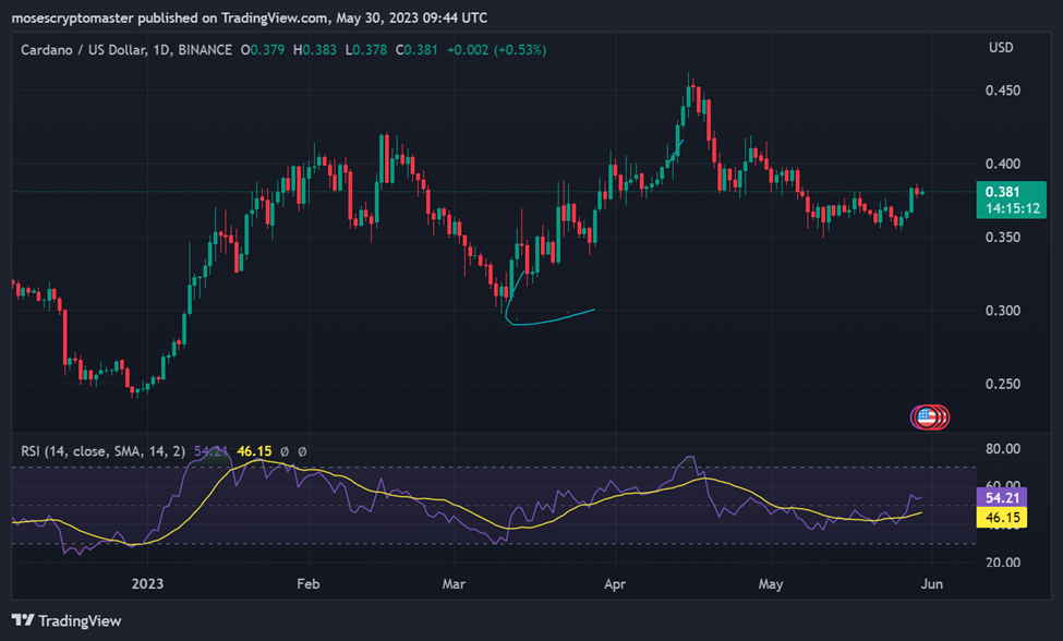 Cardano Network Skyrockets to $175M in 2023, Fueled by Memecoins and Developers