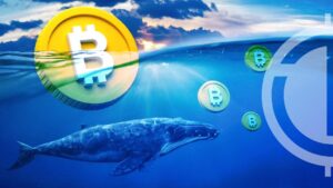 Bitcoin Whale Transactions Reach New Heights: BTC Price Soars