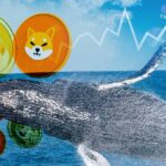 Crypto Whales Stir Up Frenzy as Billions in DOGE and SHIB Swiftly Change Hands