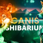 NFA Labs Unveils Lending Protocol Canis For Shibarium Ecosystem