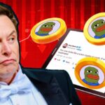 Meme Coin BOB Plummets 45% Following Elon Musk's 'Scam' Allegations