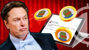 Meme Coin BOB Plummets 45% Following Elon Musk’s ‘Scam’ Allegations
