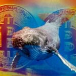 Bitcoin Whale Movements Cause Waves in Crypto Market