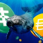 Crypto Sharks and Whales Accumulate Stablecoins Amid Market Volatility