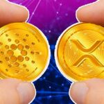 Cardano ADA and Ripple XRP Current Market Trends: An Overview