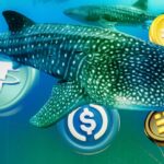 Whale and Shark Wallets Load Up on Stablecoins Amid Bitcoin's Dip Below $30k