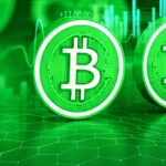 Bitcoin Cash (BCH) Exhibits Promising Momentum Amidst Market Conditions
