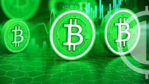 Bitcoin Cash (BCH) Exhibits Promising Momentum Amidst Market Conditions