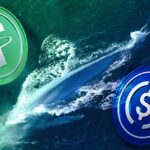 Crypto Market Retrace: Stablecoin Holders Watch Dolphins and Sharks