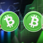 Bitcoin Cash Rallies Strong, Boosting Short and Long-Term Investors