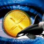 Big Wallet Investors are Eyeing XRP's Potential Comeback Amid SEC Lawsuit